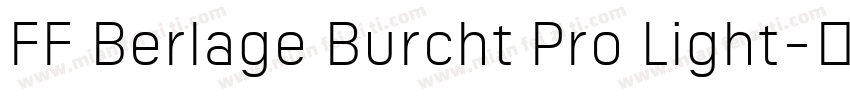 FF Berlage Burcht Pro Light字体转换